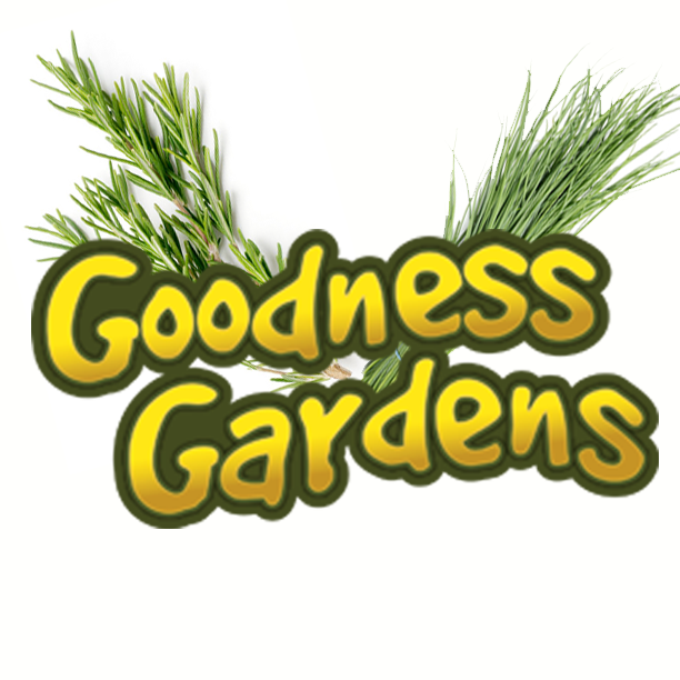 Goodness Gardens Transforms Their Operational Efficiency